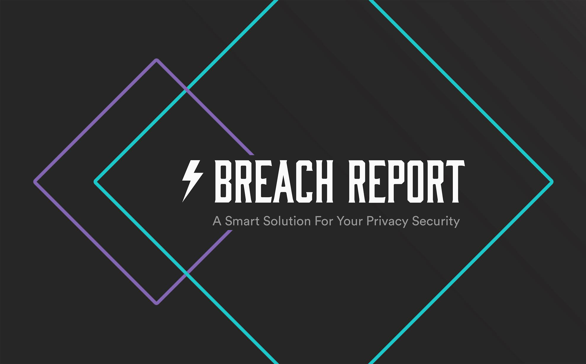 BREACH REPORT LTD Cyber security