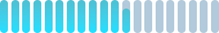 data-progress-bars-4