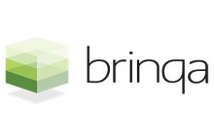 BRINQA Cyber Security Risk Management and Analytics